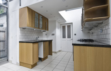 Pontcanna kitchen extension leads